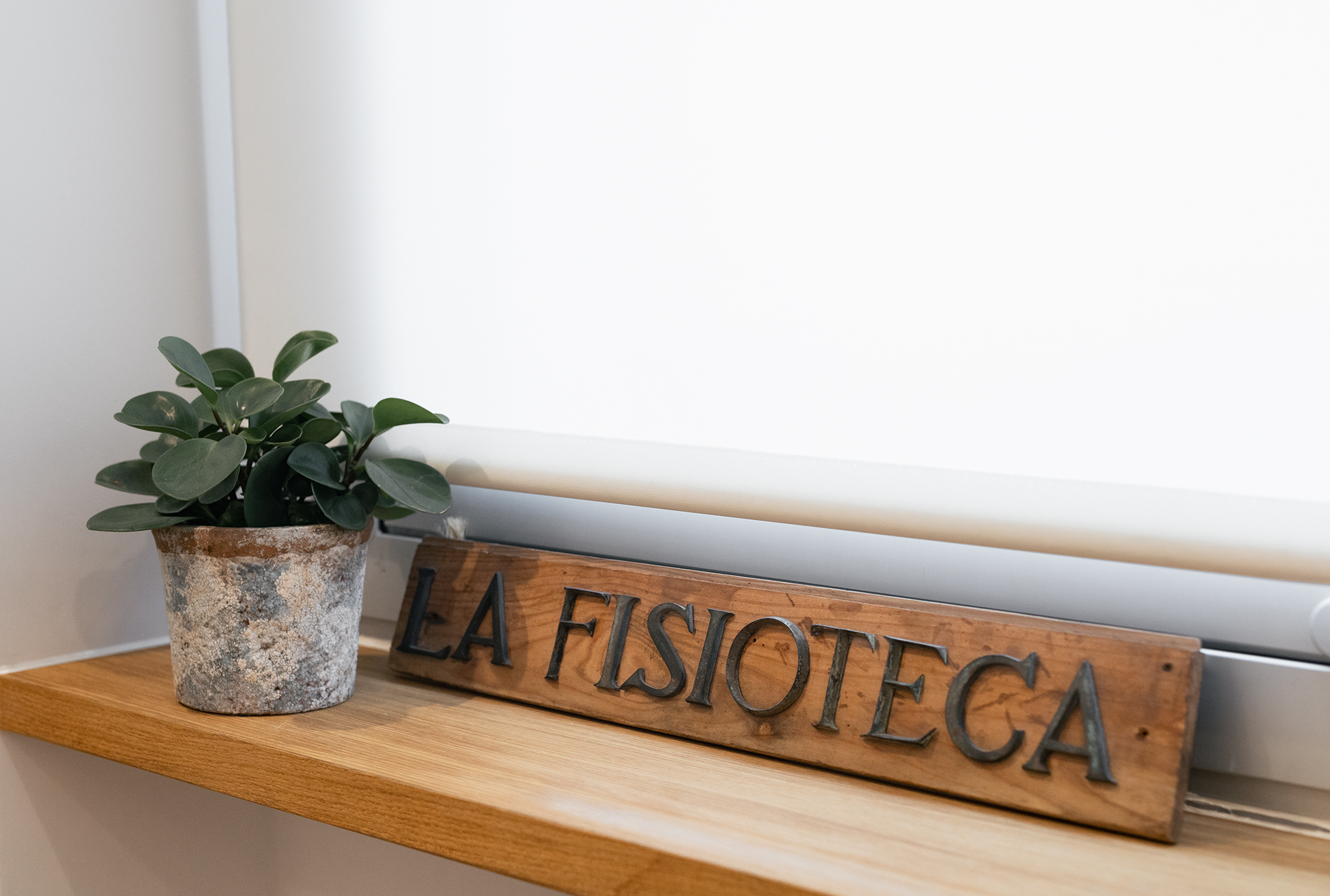 TERAPIAS Y TRATAMIENTOS